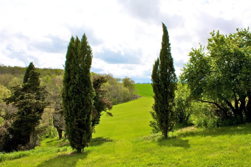 B&B Chateau De Fajac La Selve Pech-Luna Esterno foto